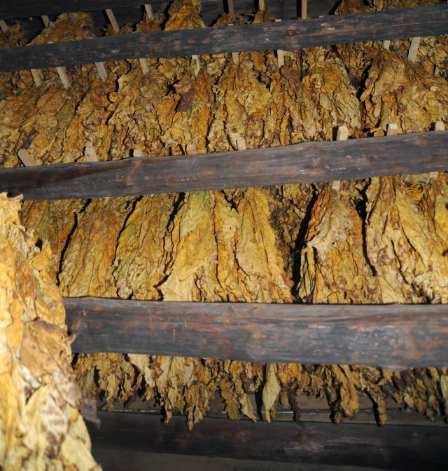 how to clean tobacco off walls How to Get Rid of Nicotine Stains on Walls: 12 Steps