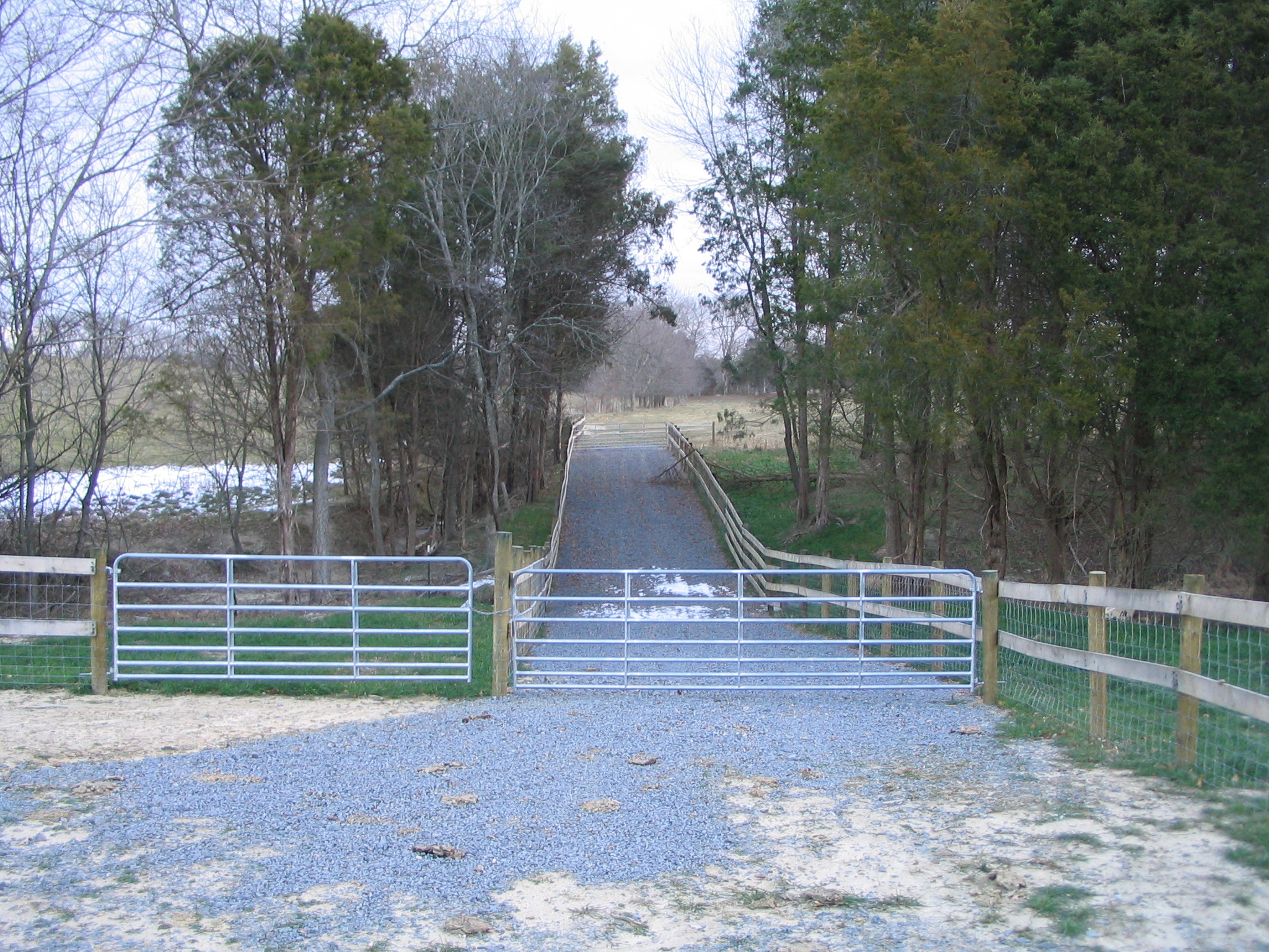 creek crossover for cattle (2)