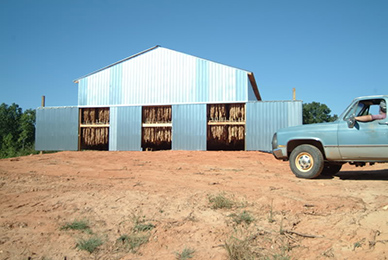 2pondshrimp_0905_kp047