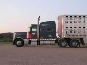 livestock hauler 2