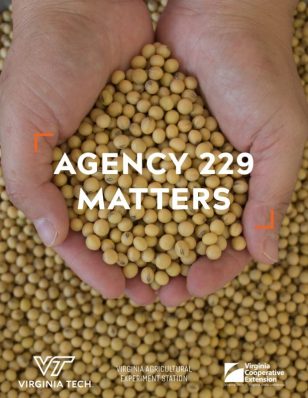 Agency 229