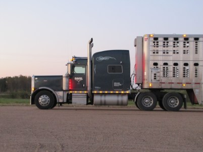 livestock hauler