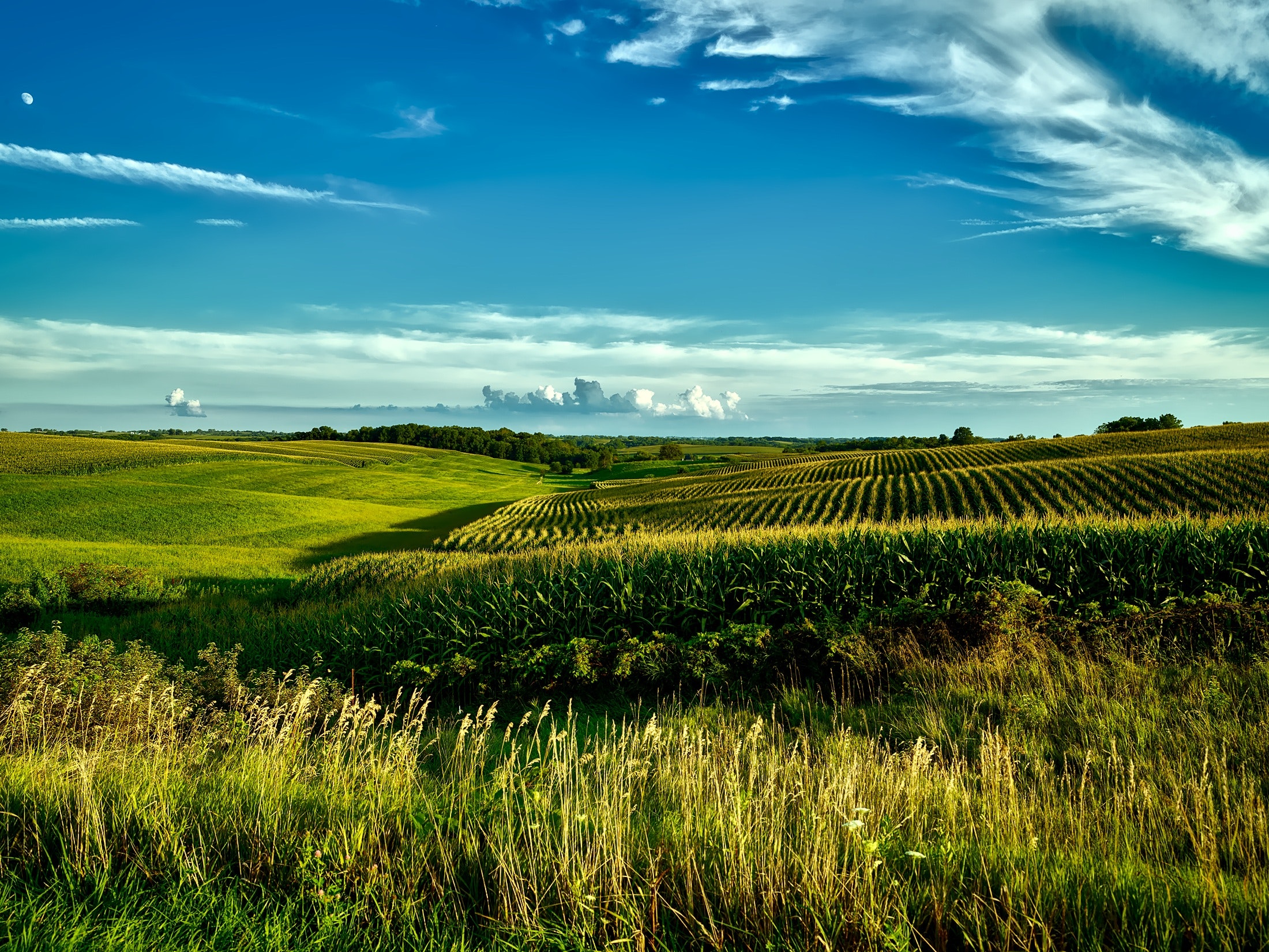 clouds-countryside-crop-206893