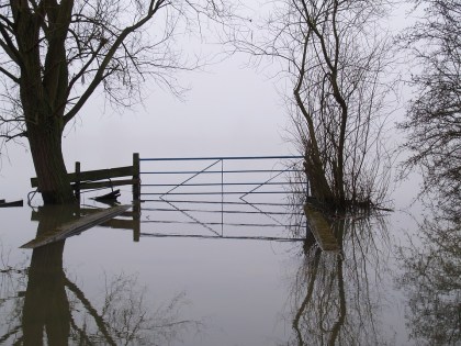 Farm Misty Water Flood Nature Fog Landscape