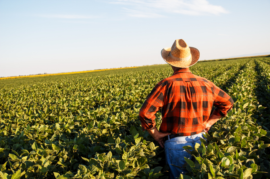 farmer in field