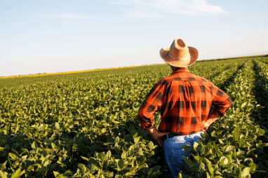 farmer in field