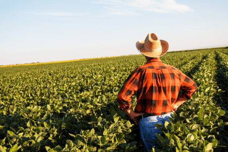 farmer in field