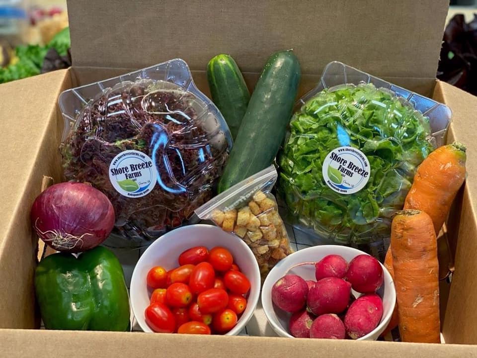 Shore Breeze Salad Kit