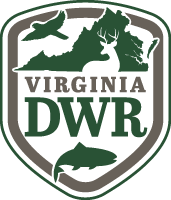 dwr-logo