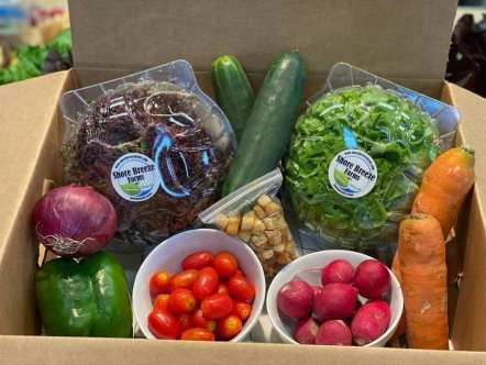 Shore Breeze Salad Kit