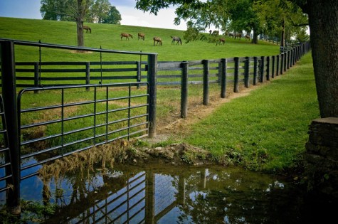 Fencing_livestock_out_of_the_streambed,_Lexington,_KY_(14595300711) (1)