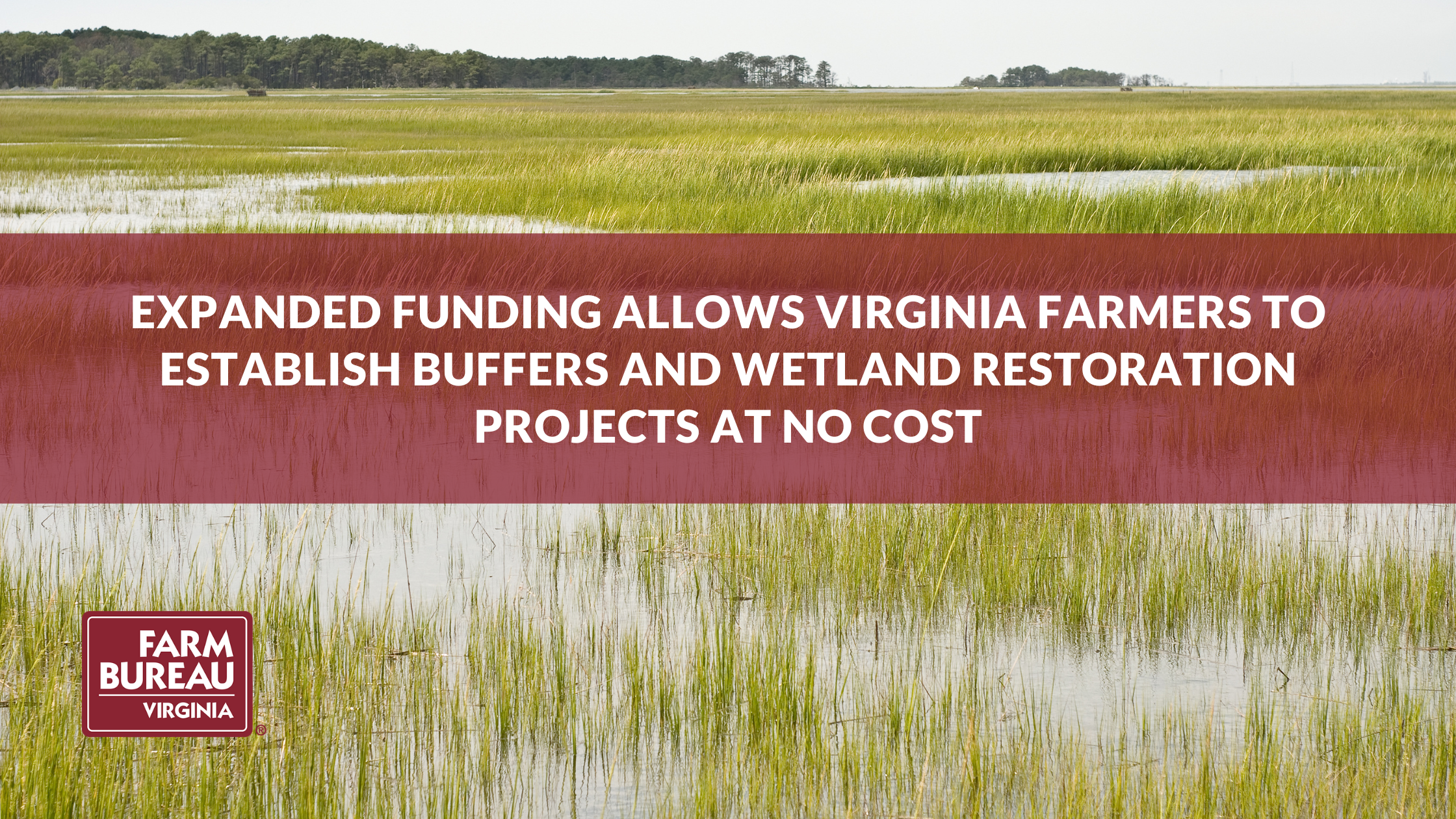 Expanded Funding Allows Virginia Farmers to Establish Buffers and ...